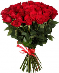 Красные розы Голландия