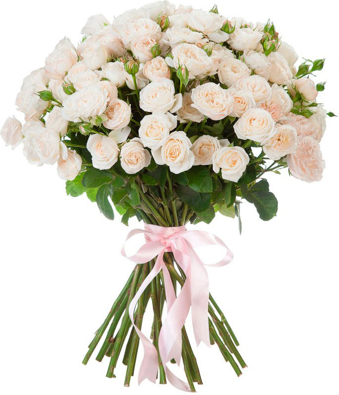 Кустовые белые розы